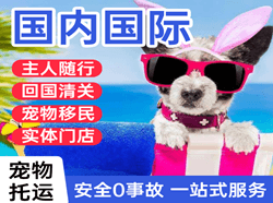 普洱思茅空运公司国际宠物托运 【国